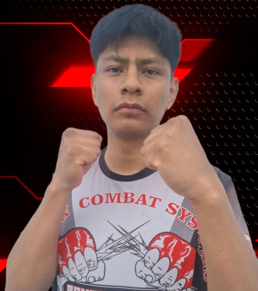 Imagen de ULISES