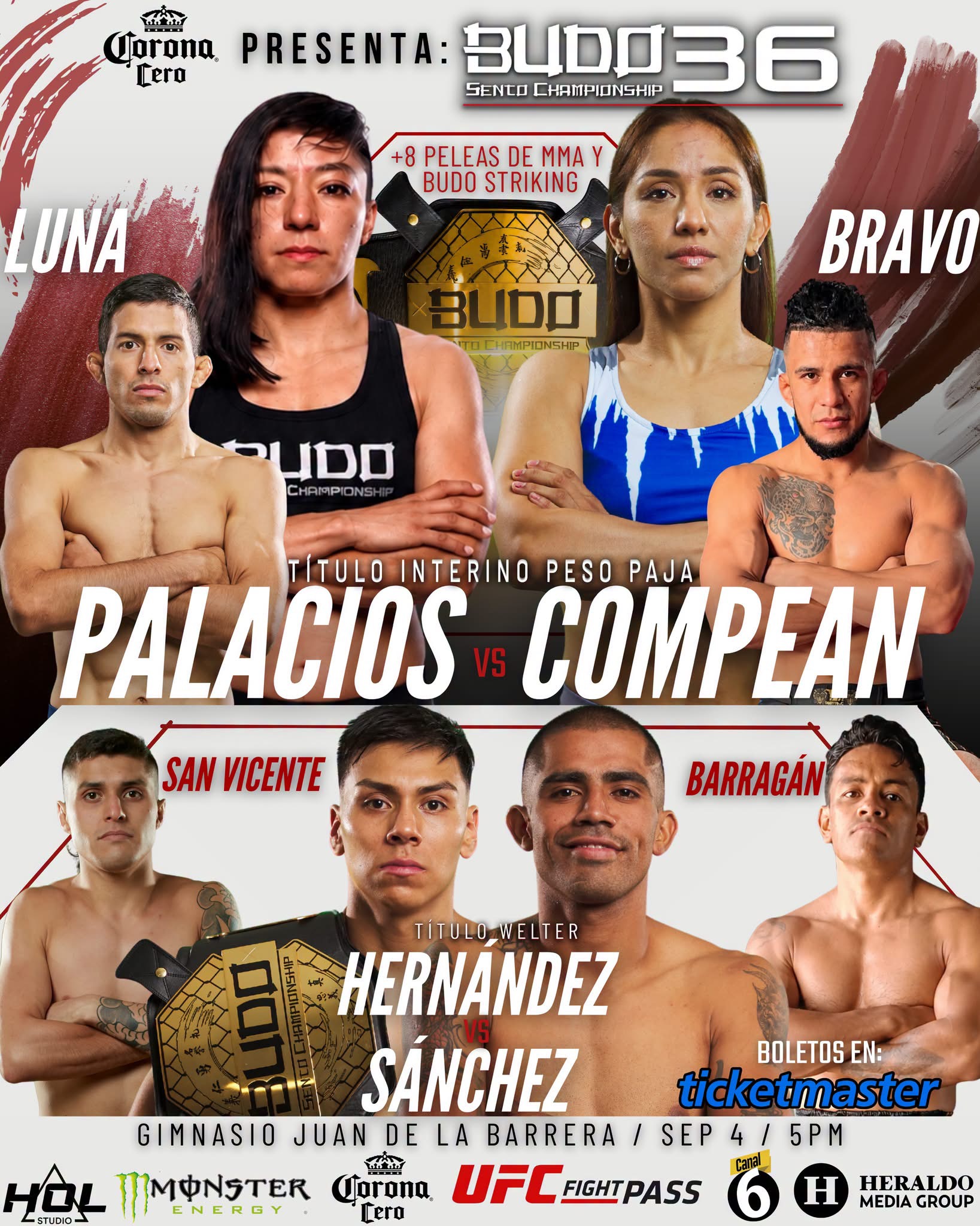 Boletos MMA