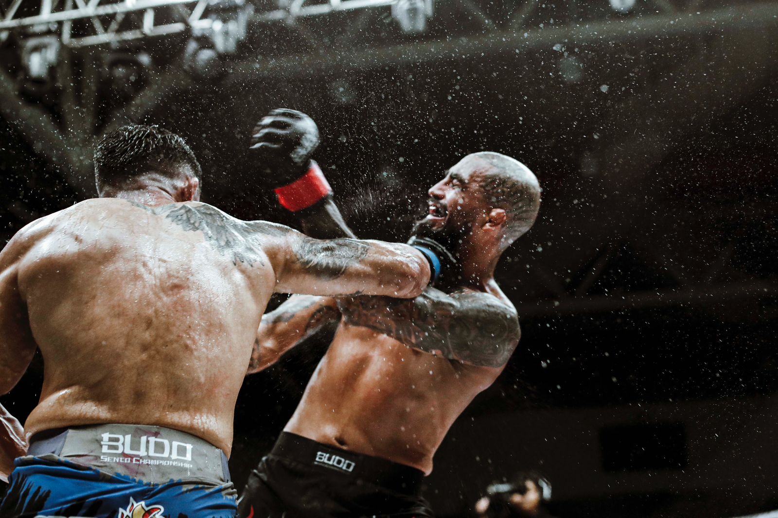 Ceremonia de Premiación